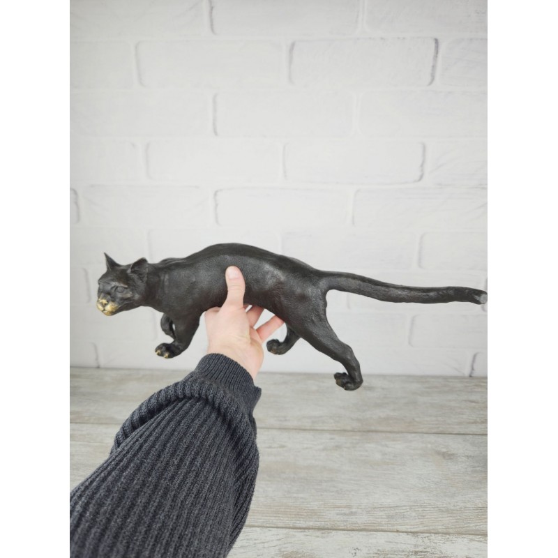 Кошка чёрная