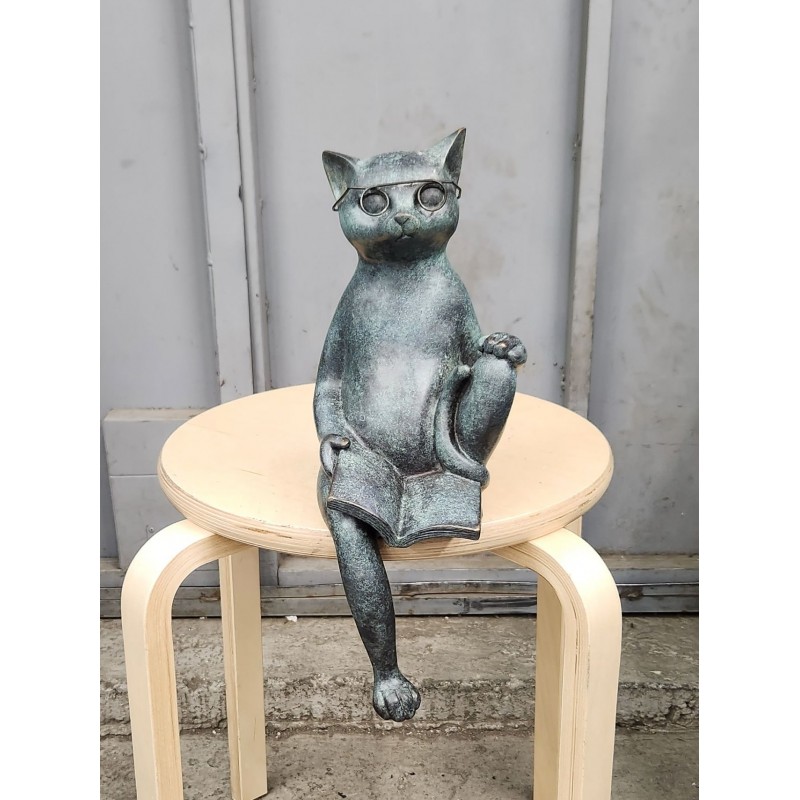 Читающий кот сидит (на полку)