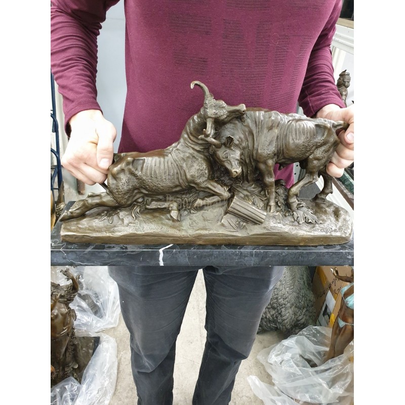 Бой быков (50см)