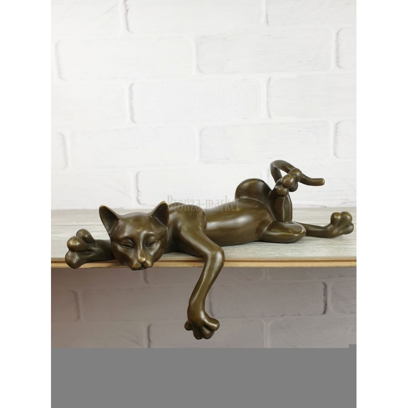 Кот с полки