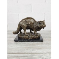 Персидский кот Персидский кот