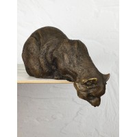 Кошка с полки