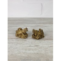 Драконочерепашки маленькие